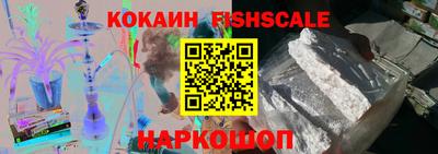 шишки Изобильный