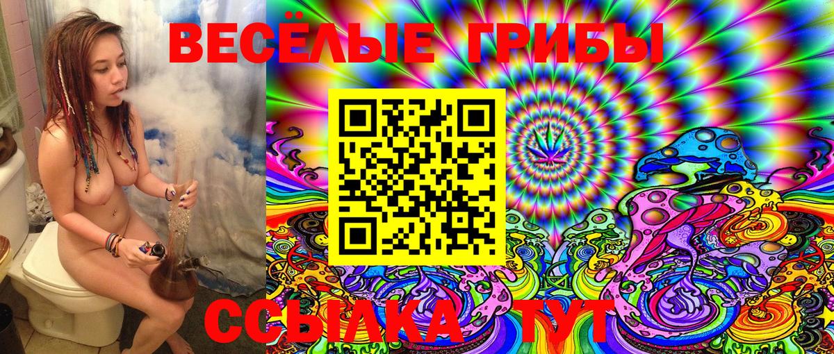 Галлюциногенные грибы Cubensis  Галлюциногенные грибы мицелий  Майский  Вход с VPN 
