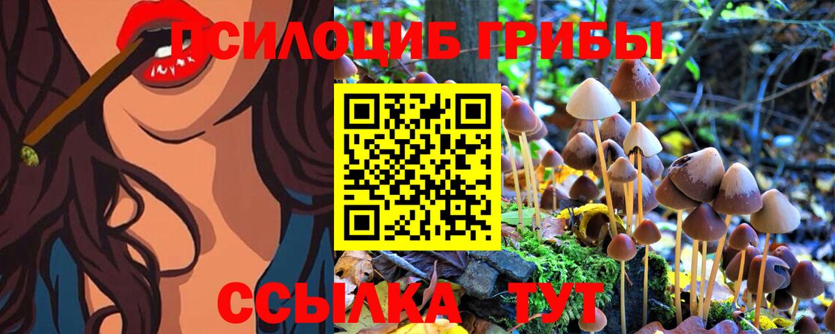 Псилоцибиновые грибы Psilocybine cubensis Майский
